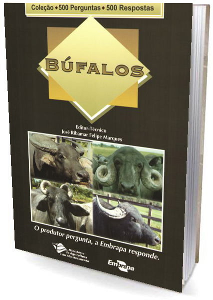 Livro - Búfalos - 500 perguntas / 500 respostas