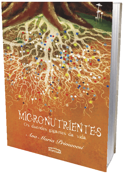 Livro - Micronutrientes - Os duendes gigantes da vida