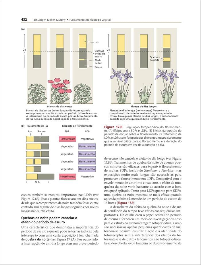 Livro Fisiologia e Desenvolvimento Vegetal 7° Edição