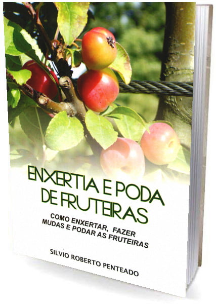 Livro - Enxertia e Poda de Fruteiras - Como enxertar, fazer mudas e podar as fruteiras