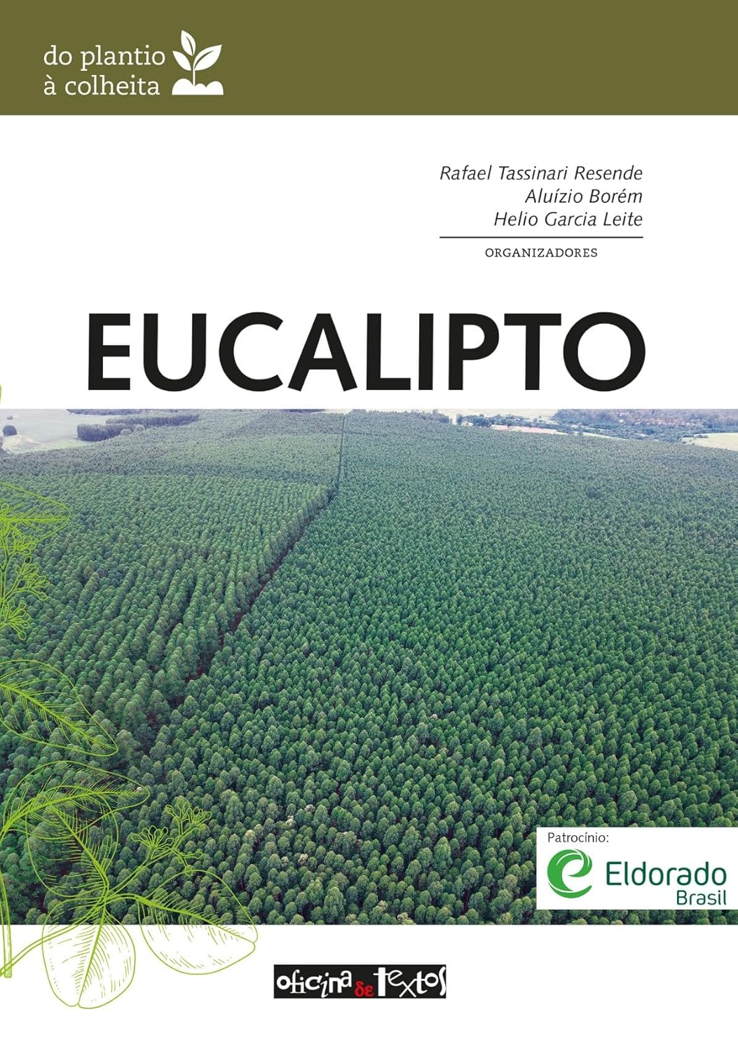 Livro - Eucalipto - do plantio à colheita