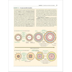 Livro - Fisiologia e Desenvolvimento Vegetal 7° Edição