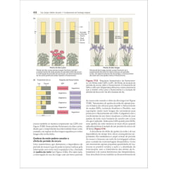 Livro - Fisiologia e Desenvolvimento Vegetal 7° Edição