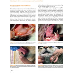 Livro - Dermatologia Felina - Uma Abordagem Clínica