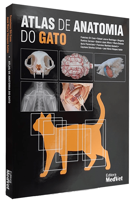 Livro - Atlas de Anatomia do Gato
